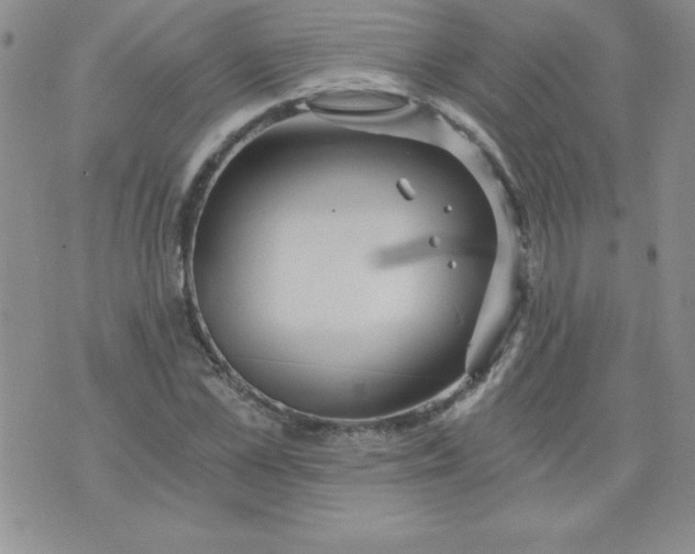 X0000071330973200607141901