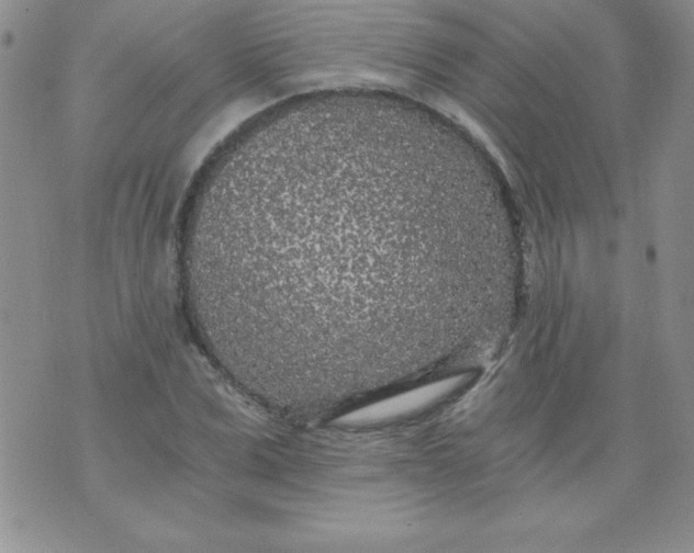 X0000071330975200607141901