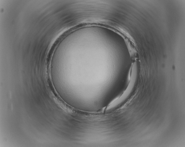 X0000071330976200607141901