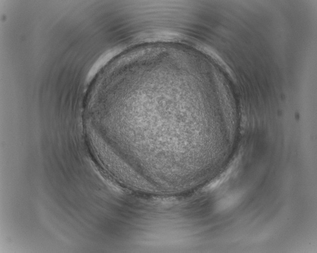 X0000071330978200607141901