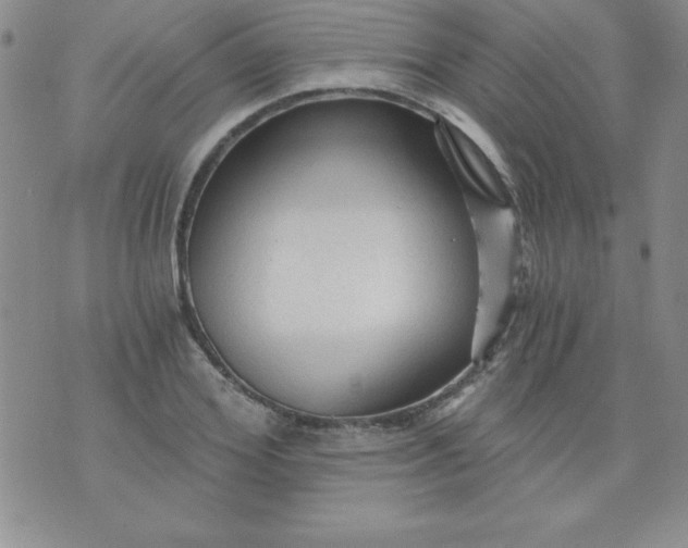 X0000071330980200607141901