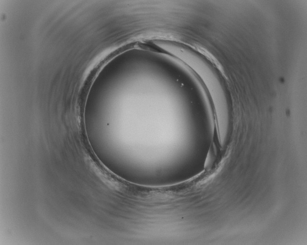 X0000071330981200607141901