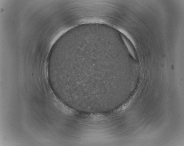 X0000071330983200607141901