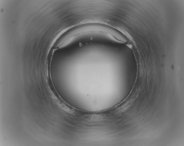 X0000071330984200607141901