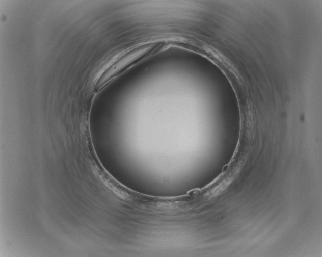 X0000071330985200607141901