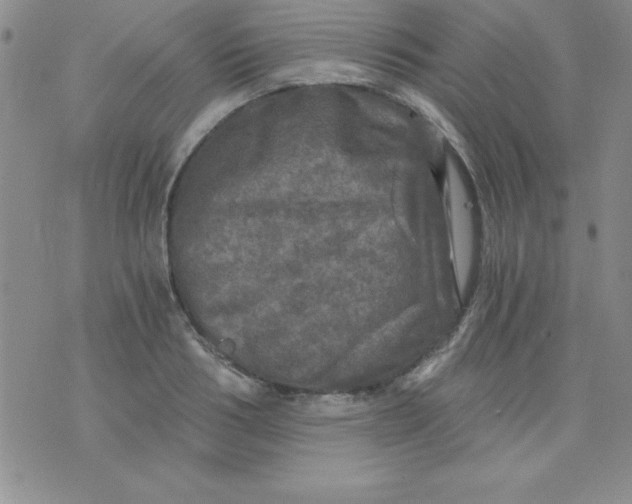 X0000071330986200607141901