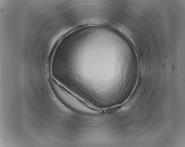 X0000071330987200607141901