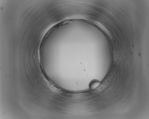 X0000071330988200607141901