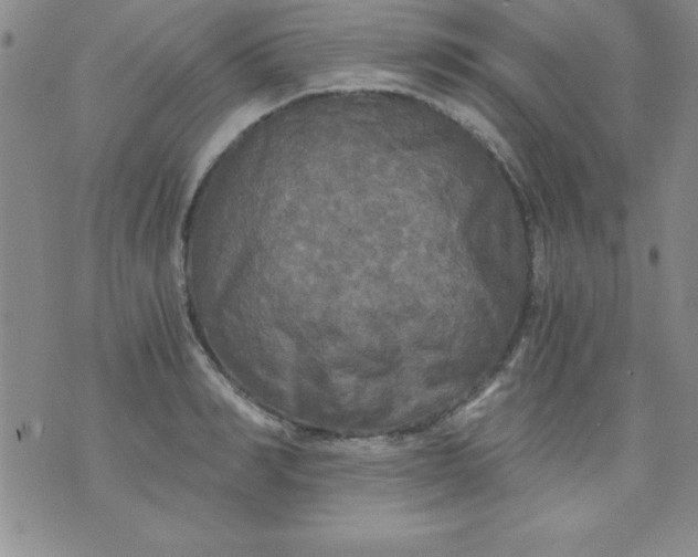 X0000071330990200607141901