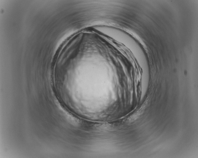 X0000071330991200607141901