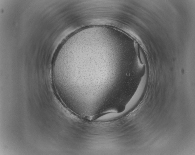 X0000071330992200607141901