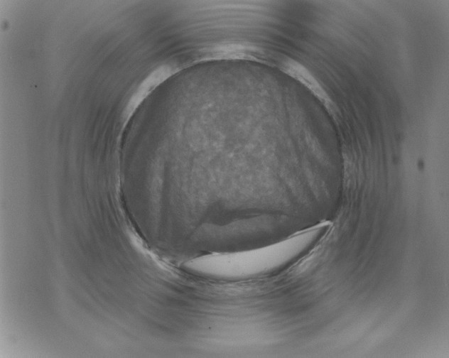 X0000071330994200607141901