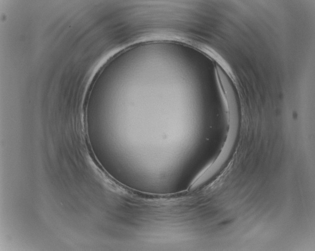 X0000071330996200607141901