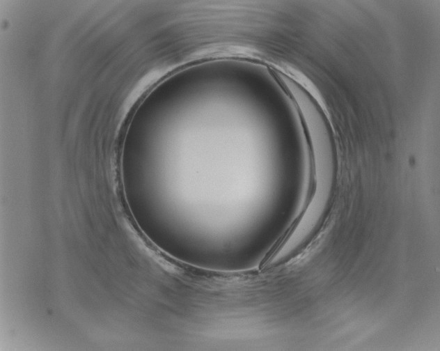 X0000071330997200607141901