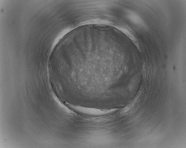 X0000071330998200607141901