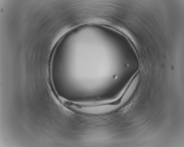 X0000071330999200607141901