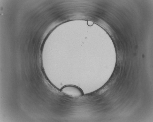 X0000071331000200607141901