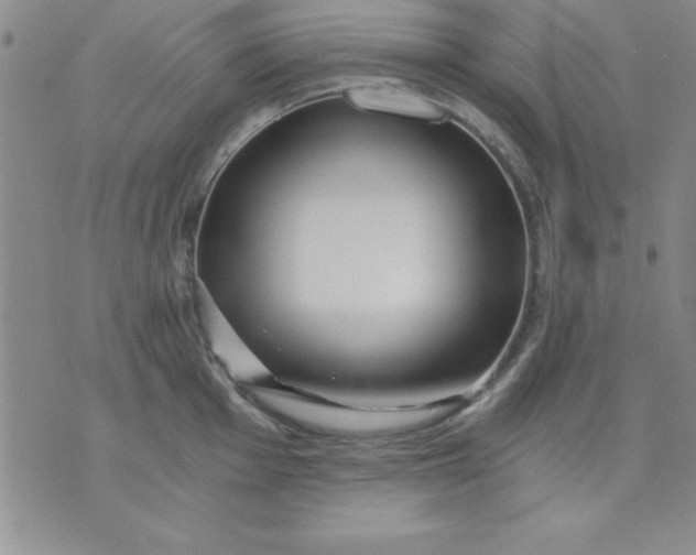 X0000071331001200607141901