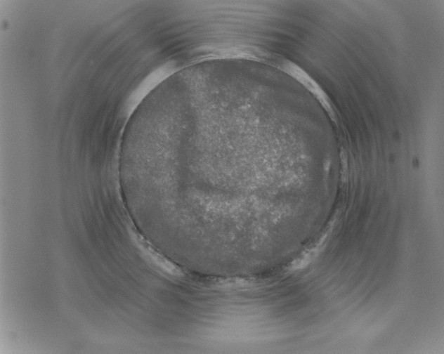 X0000071331002200607141901