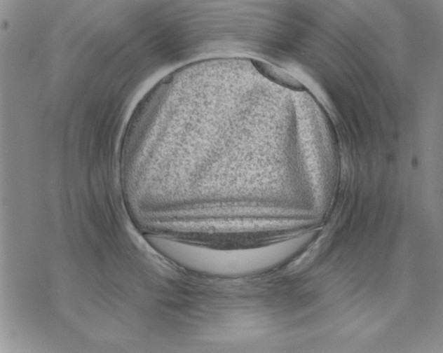 X0000071331004200607141901