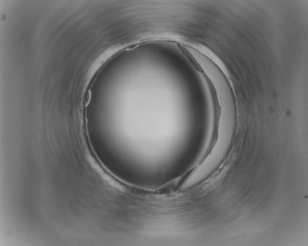 X0000071331005200607141901