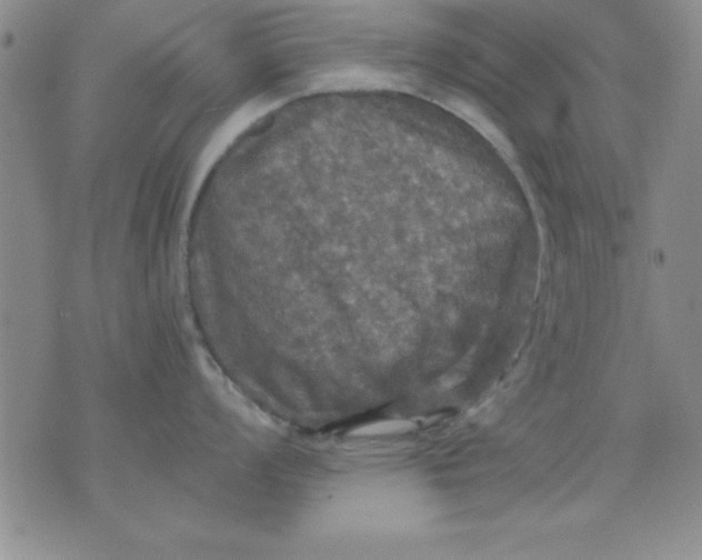 X0000071331008200607141901