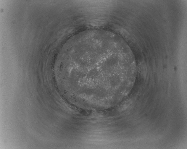 X0000071331009200607141900