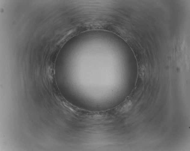 X0000071331010200607141900