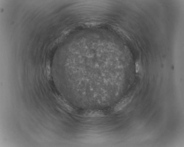 X0000071331011200607141900