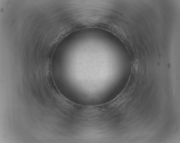 X0000071331012200607141900