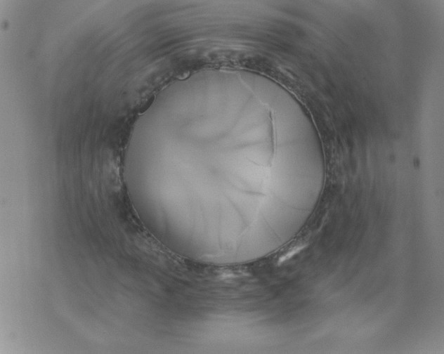 X0000071331013200607141900