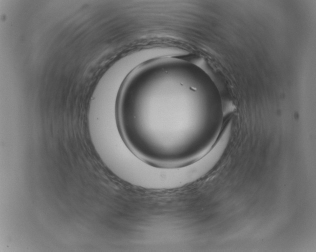 X0000071331014200607141900