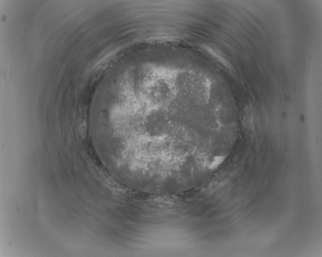 X0000071331015200607141900