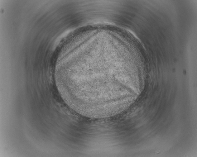 X0000071331016200607141900