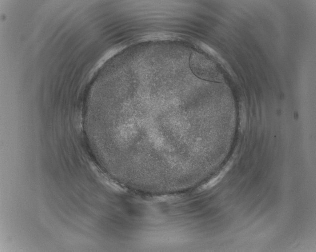 X0000071331017200607141900