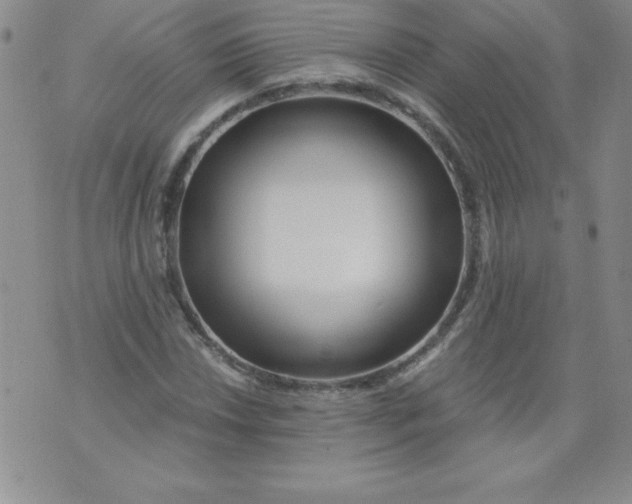 X0000071331018200607141900