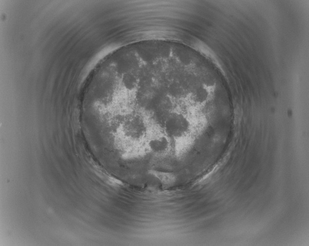 X0000071331019200607141900