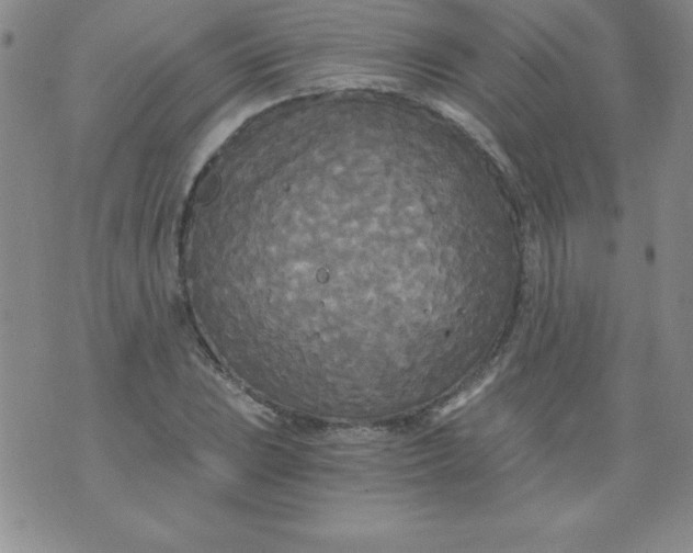 X0000071331023200607141900