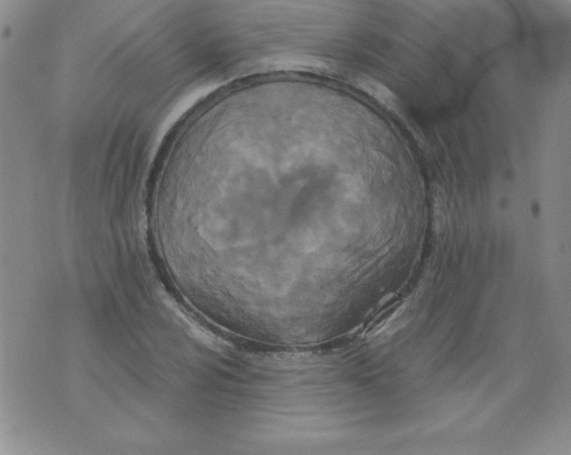 X0000071331024200607141900