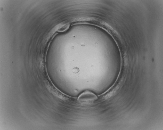 X0000071331025200607141900