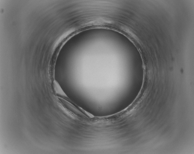 X0000071331026200607141900