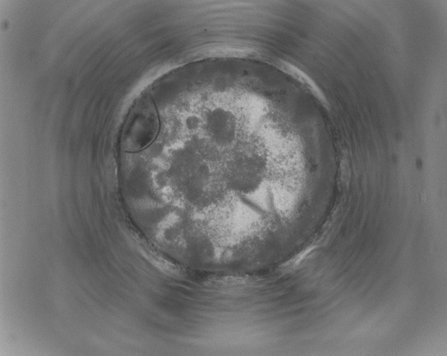 X0000071331027200607141900