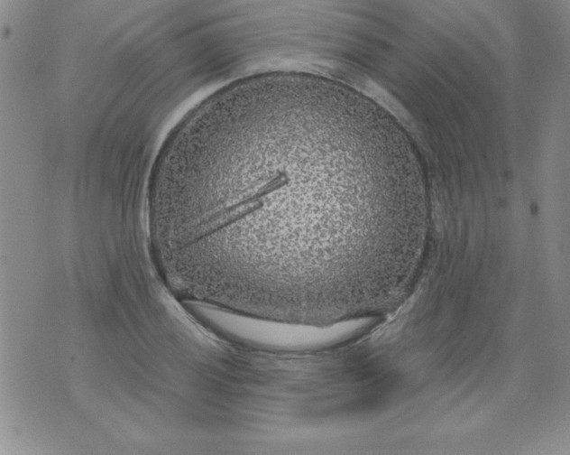 X0000071331028200607141900