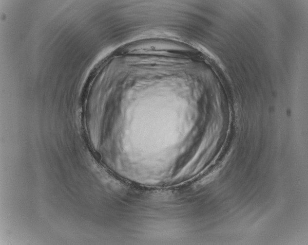 X0000071331029200607141900