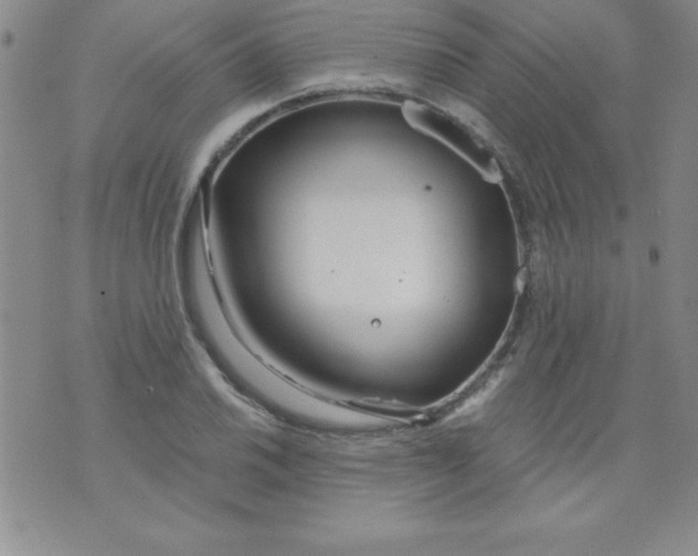 X0000071331030200607141900