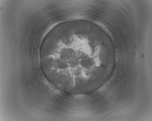 X0000071331031200607141900