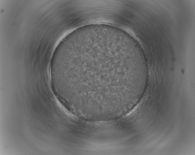 X0000071331032200607141900