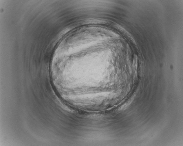 X0000071331033200607141900