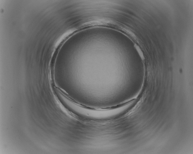 X0000071331034200607141900