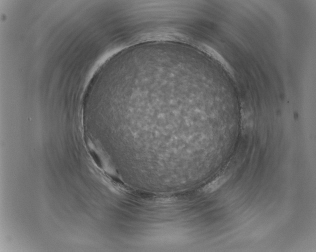 X0000071331035200607141900